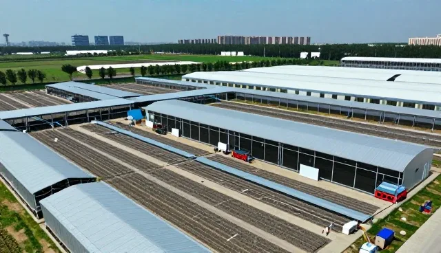 线上店铺运营中成本控制的关键应用场景分析